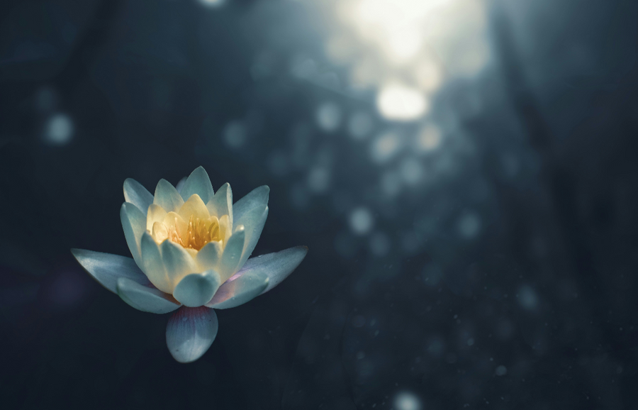 Mind-body hypnotherapy program