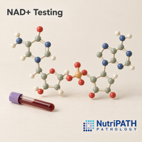 NAD+ Testing — original OptiLabs clinical illustration with supplier logo; collection items are illustrative, not the exact supplied kit