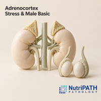 Adrenocortex Stress & Male Basic — original OptiLabs clinical illustration with supplier logo; collection items are illustrative, not the exact supplied kit
