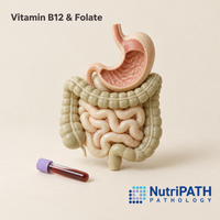 Vitamin B12 & Folate — original OptiLabs clinical illustration with supplier logo; collection items are illustrative, not the exact supplied kit