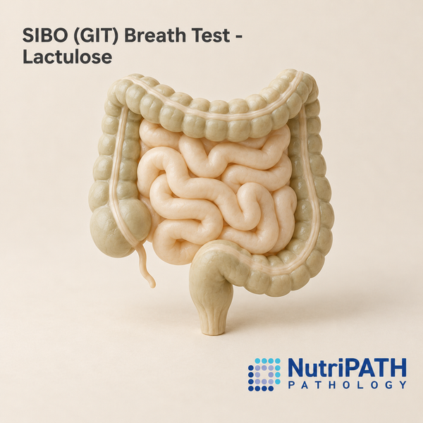 SIBO (GIT) Breath Test - Lactulose — original OptiLabs clinical illustration with supplier logo; collection items are illustrative, not the exact supplied kit