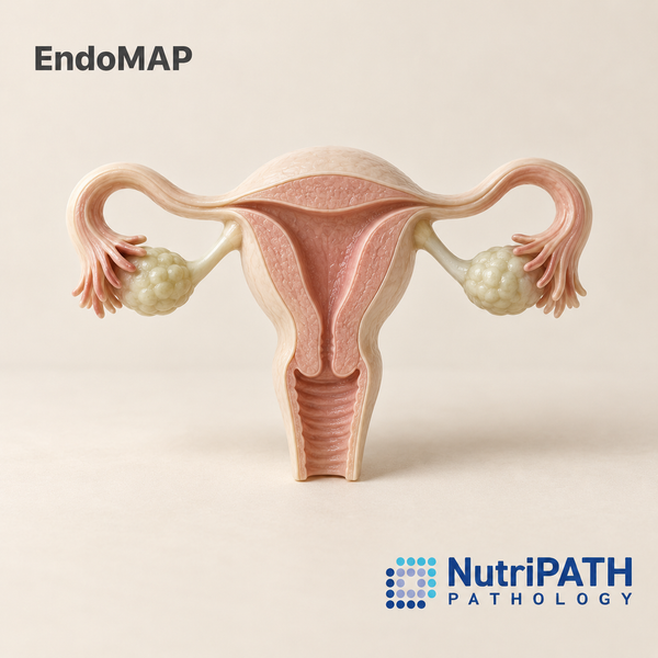 EndoMAP — original OptiLabs clinical illustration with supplier logo; collection items are illustrative, not the exact supplied kit