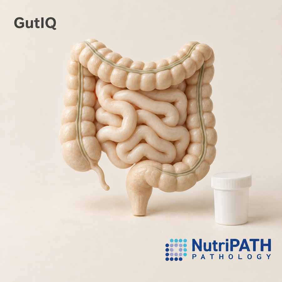 GutIQ — original OptiLabs clinical illustration with supplier logo; collection items are illustrative, not the exact supplied kit