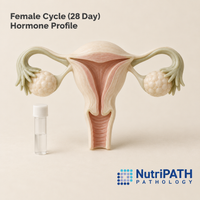 Female Cycle (28 Day) Hormone Profile — original OptiLabs clinical illustration with supplier logo; collection items are illustrative, not the exact supplied kit