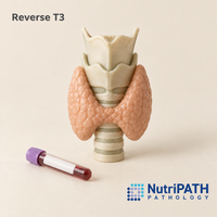 Reverse T3 — original OptiLabs clinical illustration with supplier logo; collection items are illustrative, not the exact supplied kit