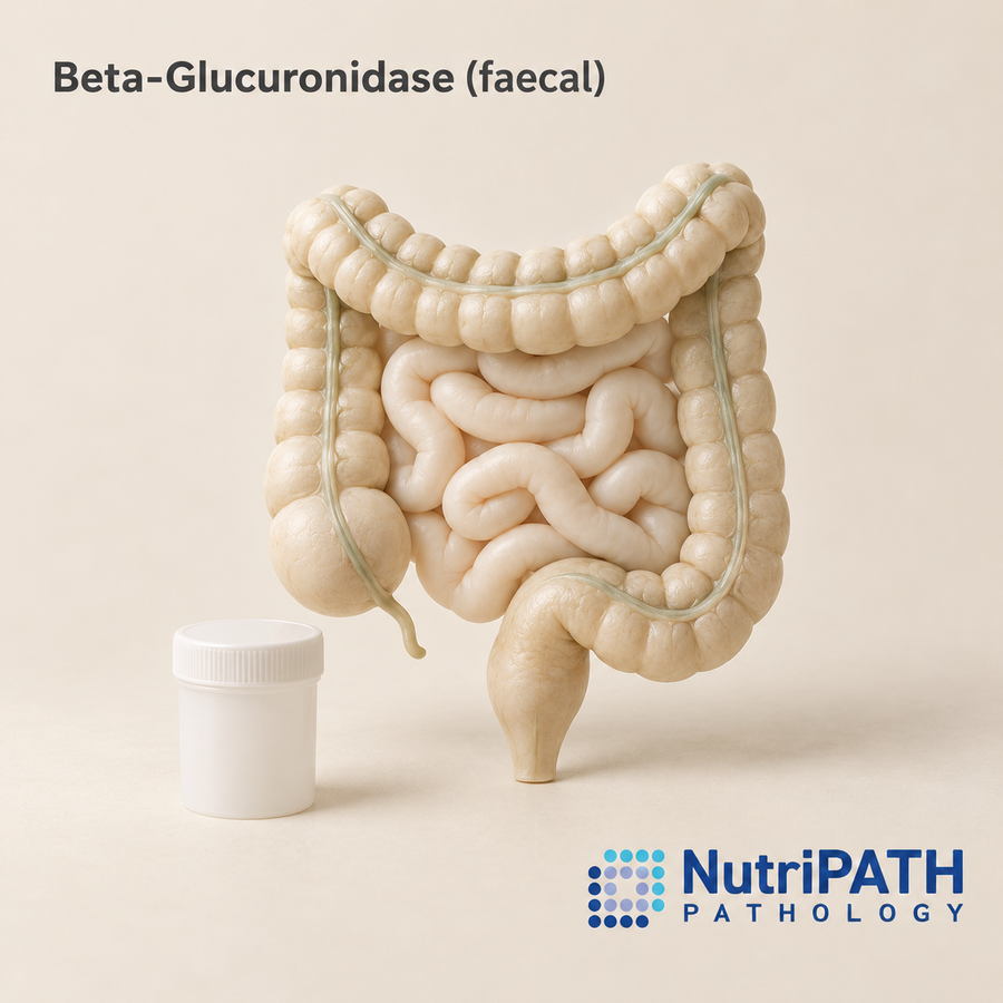 Beta-Glucuronidase (faecal) — original OptiLabs clinical illustration with supplier logo; collection items are illustrative, not the exact supplied kit