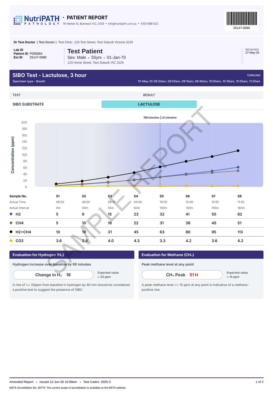 NutriPATH published sample report · SIBO (GIT) Breath Test - Fructose+Lactulose · Example page 3; report format may vary