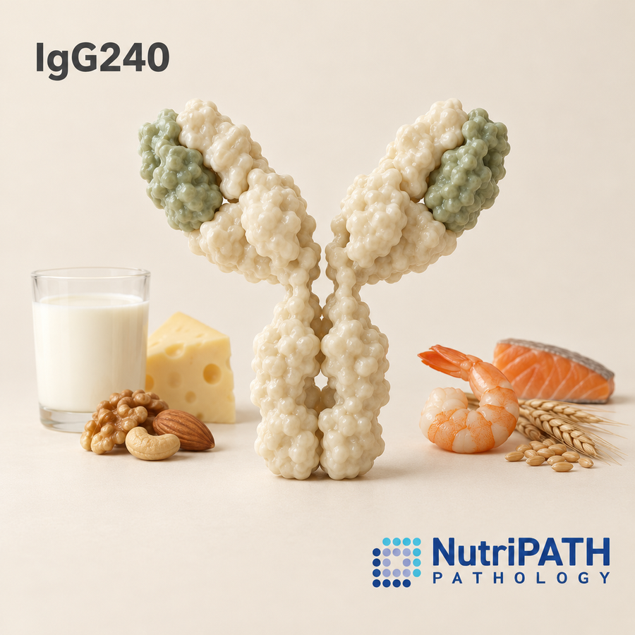 IgG240 — original OptiLabs clinical illustration with supplier logo; collection items are illustrative, not the exact supplied kit