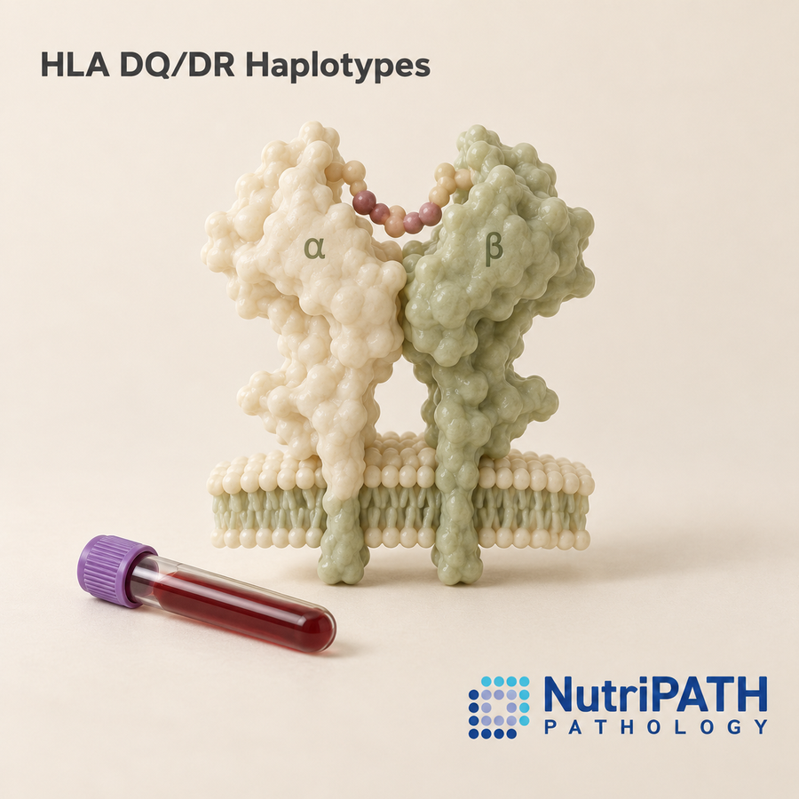 HLA DQ/DR Haplotypes — original OptiLabs clinical illustration with supplier logo; collection items are illustrative, not the exact supplied kit