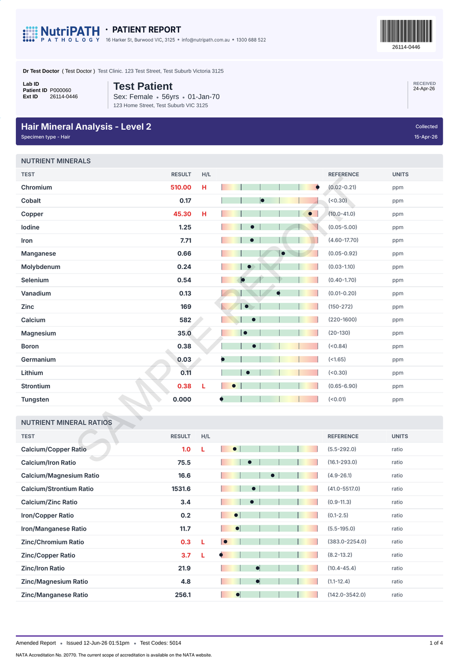 NutriPATH published sample report · Hair Mineral Analysis - Level 2 · Example page 1; report format may vary