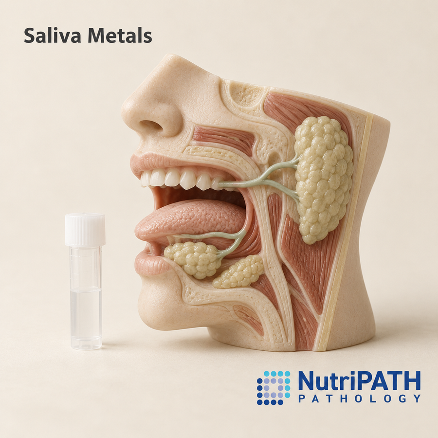 Saliva Metals — original OptiLabs clinical illustration with supplier logo; collection items are illustrative, not the exact supplied kit