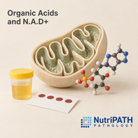 Organic Acids and N.A.D+ — original OptiLabs clinical illustration with supplier logo; collection items are illustrative, not the exact supplied kit