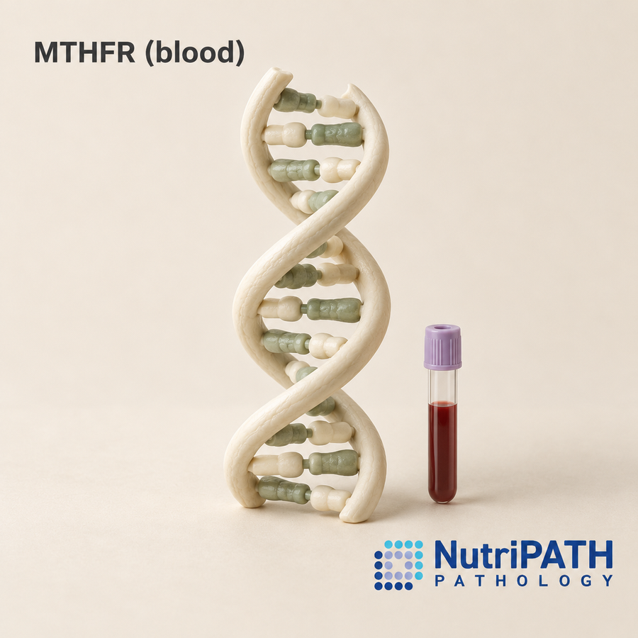 MTHFR (blood) — original OptiLabs clinical illustration with supplier logo; collection items are illustrative, not the exact supplied kit