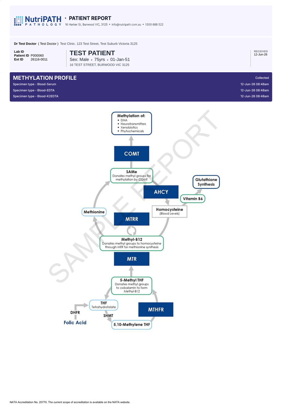NutriPATH published sample report · Methylation Profile · Example page 1; report format may vary