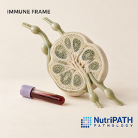 IMMUNE FRAME — original OptiLabs clinical illustration with supplier logo; collection items are illustrative, not the exact supplied kit