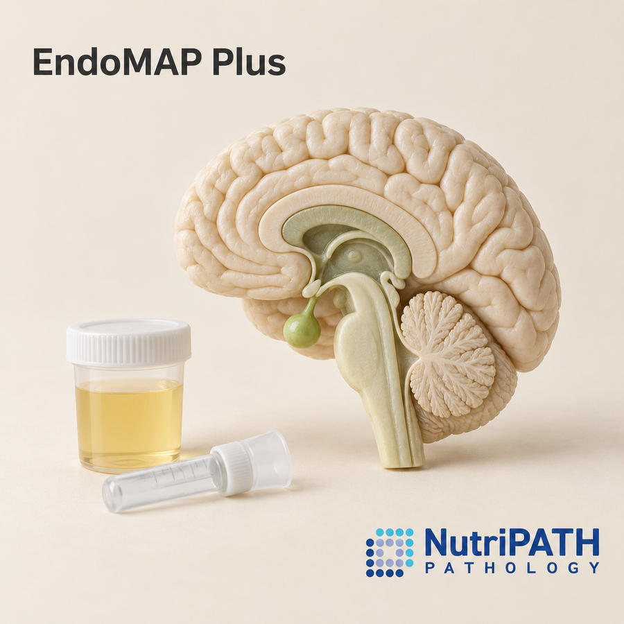 EndoMAP Plus — original OptiLabs clinical illustration with supplier logo; collection items are illustrative, not the exact supplied kit