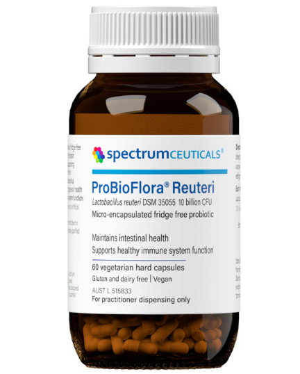 Lactobacillus reuteri (single strain probiotic)