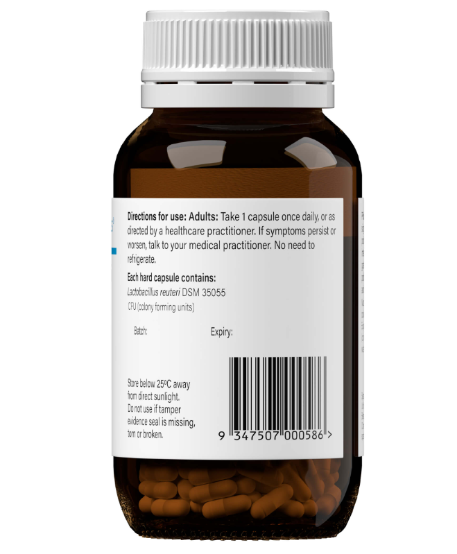 Lactobacillus reuteri (single strain probiotic)