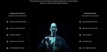 Load image into Gallery viewer, Neuropod
