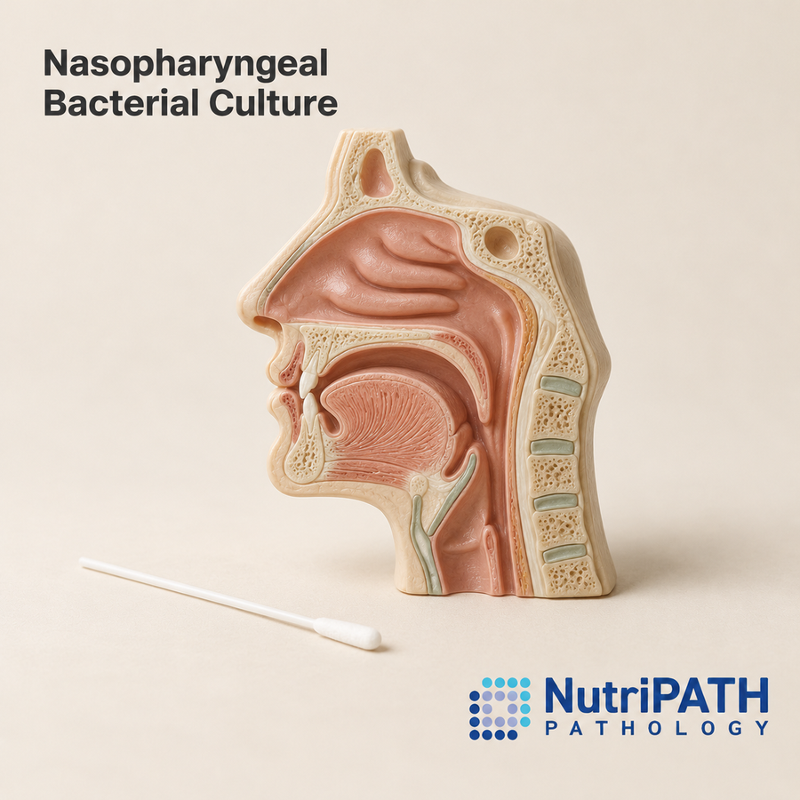 Nasopharyngeal Bacterial Culture — original OptiLabs clinical illustration with supplier logo; collection items are illustrative, not the exact supplied kit