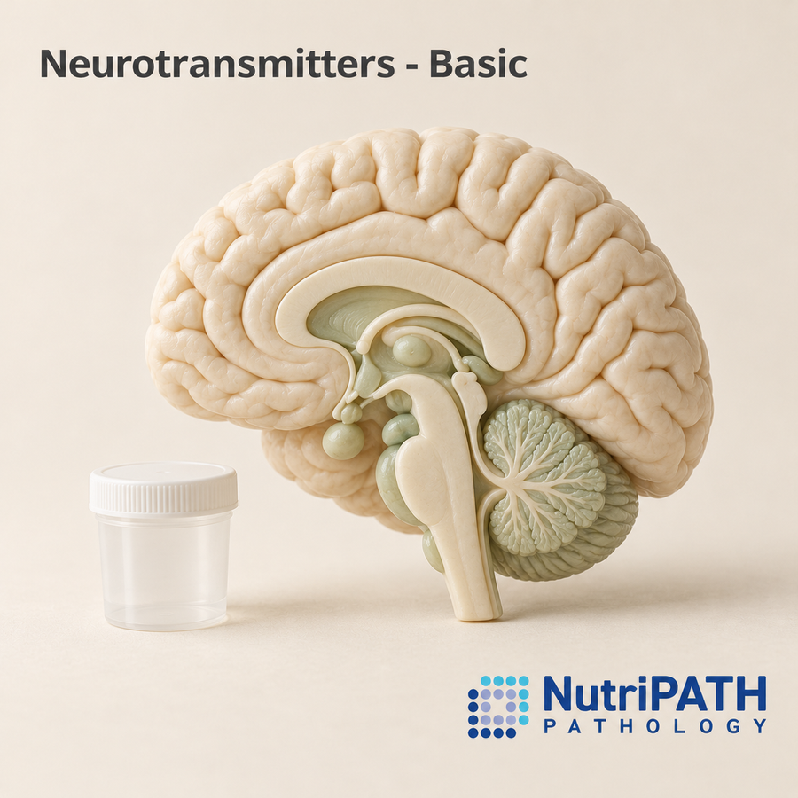 Neurotransmitters - Basic — original OptiLabs clinical illustration with supplier logo; collection items are illustrative, not the exact supplied kit