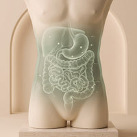 Gut Health Bundle