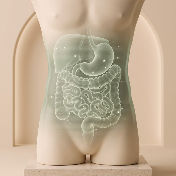 Gut Health Bundle