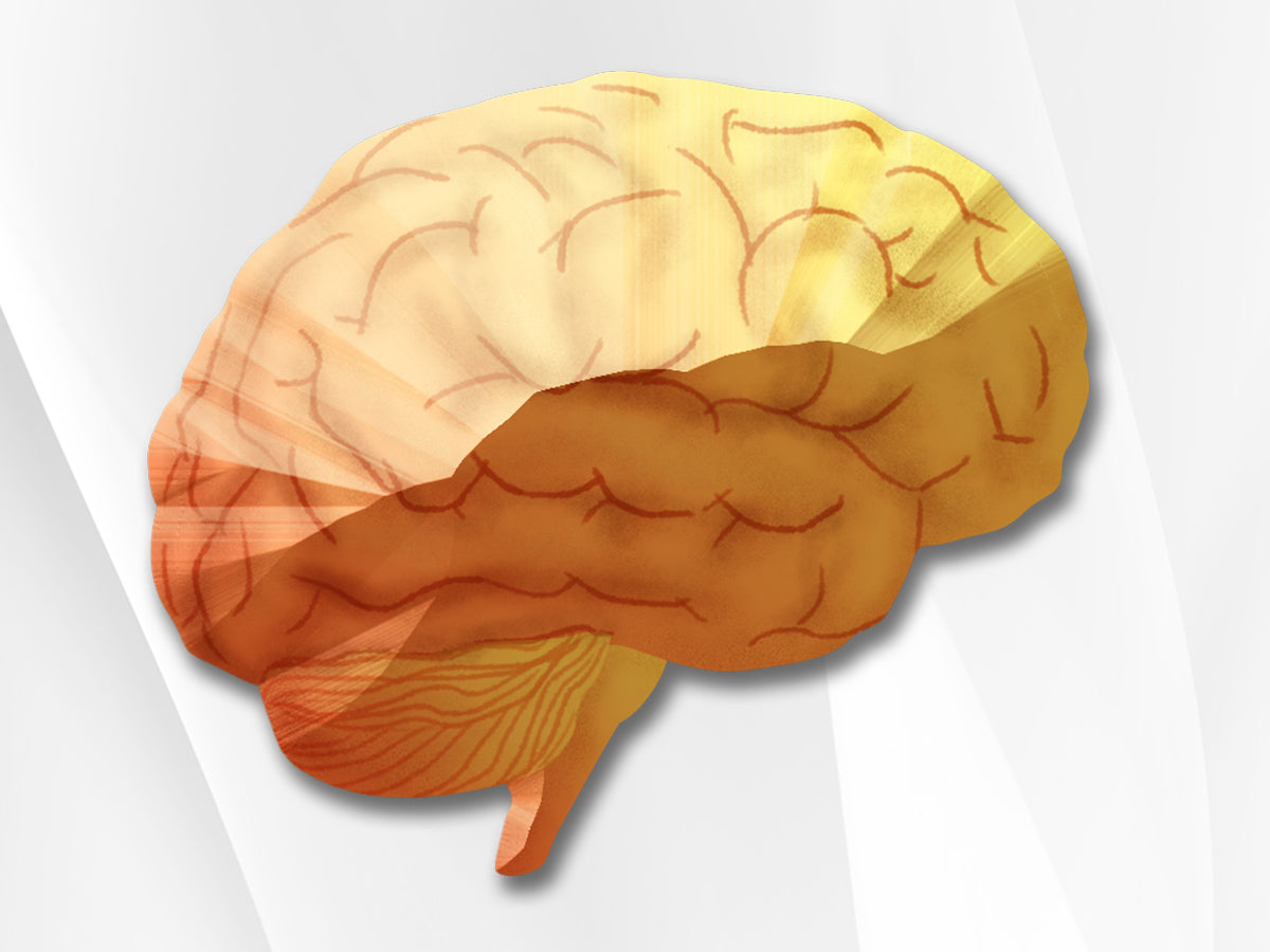 Vibrant America Neural Zoomer Plus Test